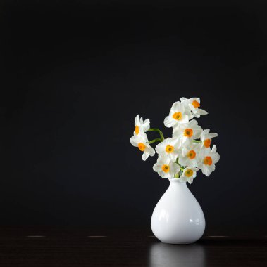 Beyaz vazodaki yabani nergisler fotokopi alanı olan siyah arkaplana karşı