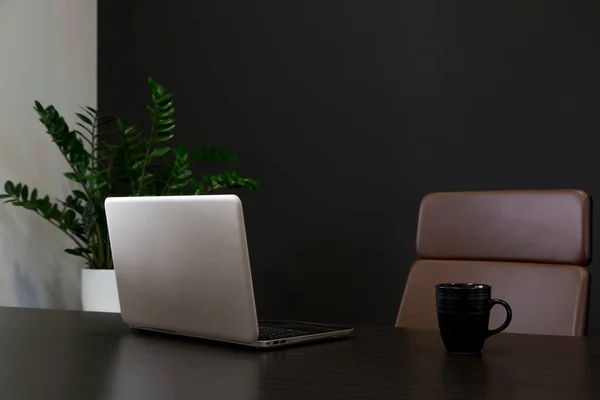 Empty workspace in home office with laptop and coffee cup and green plant in background