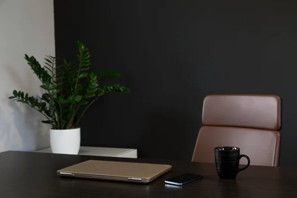 Empty Workspace Home Office Laptop Smartphone Coffee Cup Green Plant — Stock Photo, Image