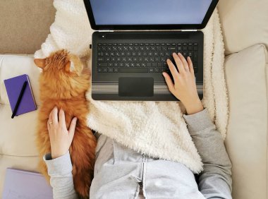 Kanepede dizüstü bilgisayarıyla çalışan bir kadın, yanında yatan bir kedi.