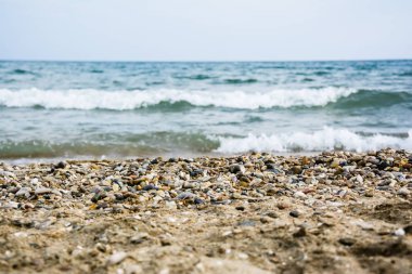 Kahverengi çakıl (fındıktan küçük) bulanık deniz ile ön planda