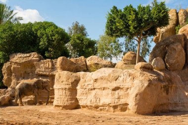 Hayvan dostu Hayvanat Bahçesi, İspanya sarı kayalarda tarafından Afrika fili