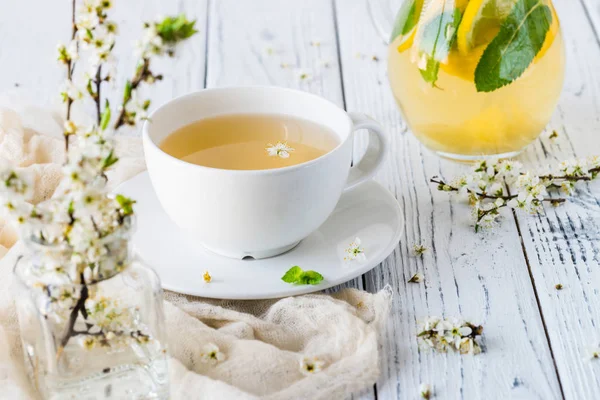 Fresh herbal tea with blooming brunch — Stock Photo, Image
