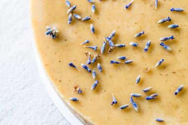 Lavanta çiçekleri ile ham sağlıklı kek. Görünümü en çok, yakın çekim