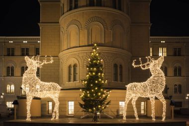 Büyük geyik heykelleri led ışıkları yapılmış, Noel ağacı ve parlayan ay dekore edilmiş