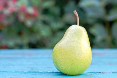 Sarı-yeşil armut turkuaz eski ahşap bir yüzey üzerinde