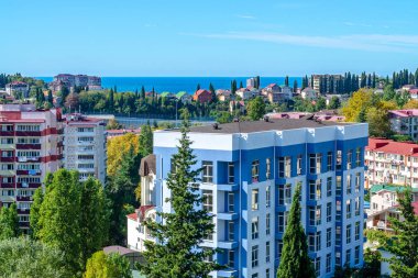 Denizin arka planındaki mavi apartman. Yeşil Ağaç. Yakın plan. Yukarıdan bak. Boşluğu kopyala