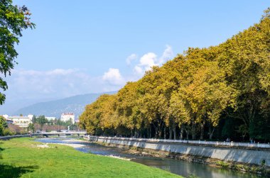 Sochi, Rusya - 23 Ekim 2019: nehir yatağı. Sarı düzlem (çınar) ağaçları. Ufuktaki dağlar. Bulutlar ve parlak güneş ışığı. Sonbahar