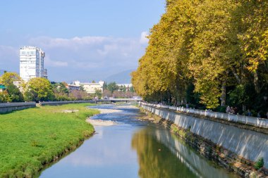 Soçi, Rusya - 23 Ekim 2019: Sarı düzlem (çınar) ağaçları. Ufuktaki dağlar. Bulutlar ve parlak güneş ışığı. Sonbahar. Nehir seti ve sudaki ağaçların yansıması.