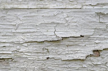 Kırık renk boyalı, arka planda eski ahşap beyaz tahta. Çırpınıyor. Yatay