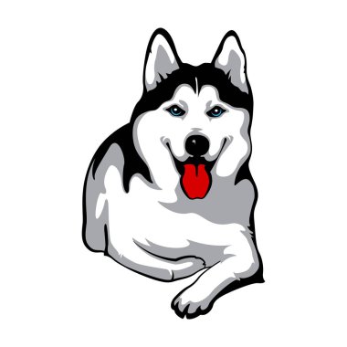 Husky yalan ve gülümseyerek. Sibirya köpek. Köpek doğurmak Husky. Hisse senedi vektör çizim
