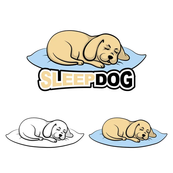 Köpek pilow uyuyor. Tatlı tatlı uyku