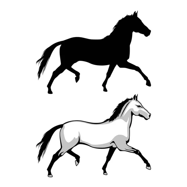 Wildlife Horse Jumps Vector Horse Two Steed — Stock Vector