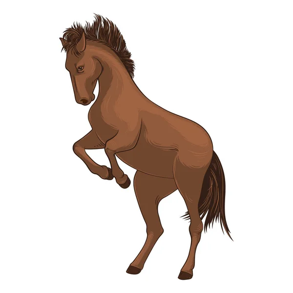 Wild Horse Brown Horse Kicks Taming Horse Vector Illustration White — Stock Vector