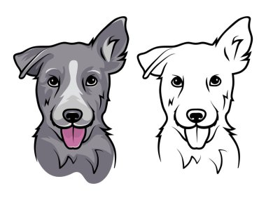 Dili dışarı çıkmış bir köpek. Beyaz arka planda bir köpek.