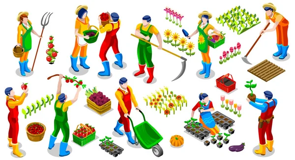 Isometric Farmer People Illustration vectorielle de collection d'icônes 3D — Image vectorielle