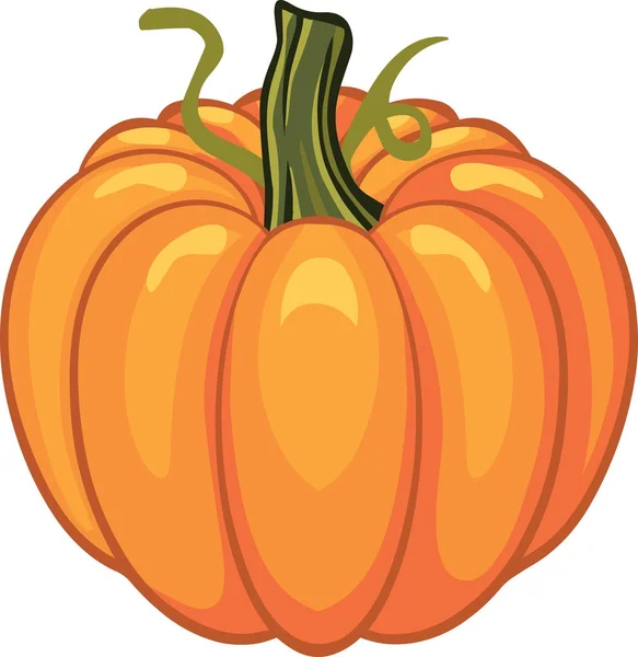 Hálaadás Pumpkin őszi fél holiday — Stock Vector