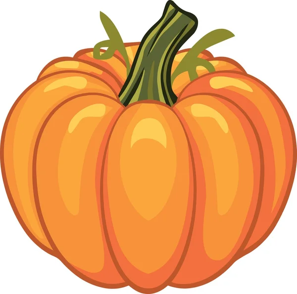 Día de Acción de Gracias Fiesta de otoño de calabaza — Vector de stock