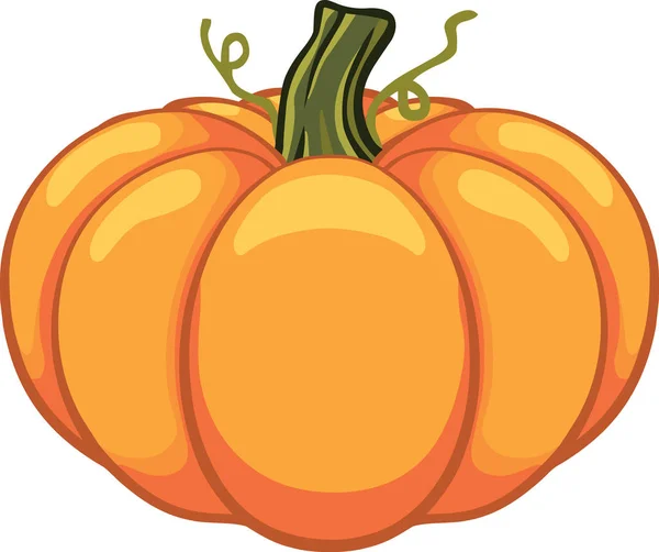 Hálaadás Pumpkin őszi fél holiday — Stock Vector