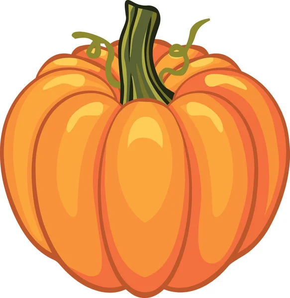 Día de Acción de Gracias Fiesta de otoño de calabaza — Vector de stock
