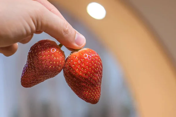 strawberry in hand vitamins and fresh berries
