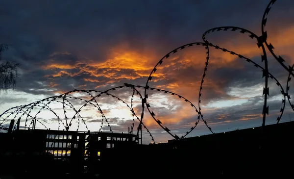 Filo spinato su uno sfondo di nuvole e tramonto cremisi — Foto Stock