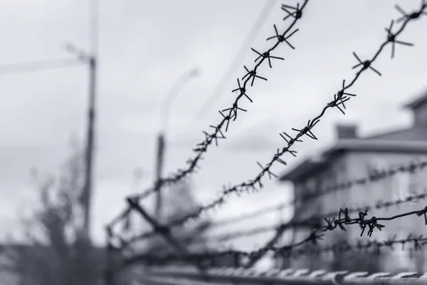 High security colony fenced with barbed wire for criminals with life imprisonment — Stock Photo, Image