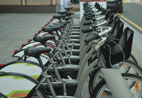 Bicycles parked in a city parking lot for two-wheeled cycling — Stock Photo, Image