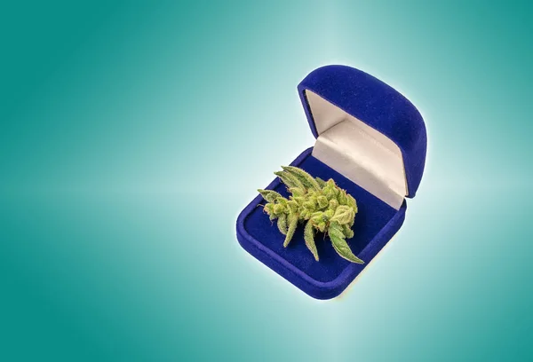 Marihuana pahalı bir hatıra.