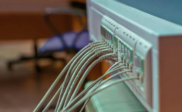 Cable y conectores conectados a los conectores del servidor — Foto de Stock