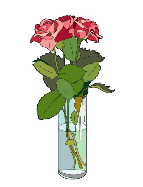 Três rosas num vaso — Vetor de Stock