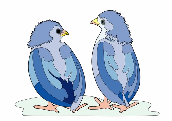 Δύο μπλε πουλιά — Διανυσματικό Αρχείο