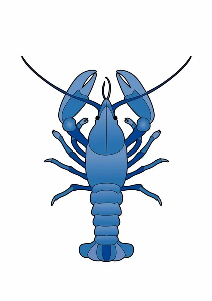 Vetor de uma lagosta azul — Vetor de Stock