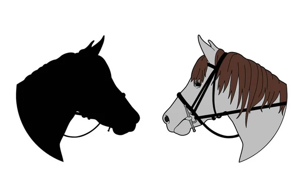 Vektor av ett hästhuvud — Stock vektor
