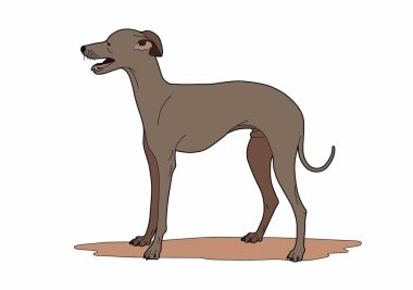 Açık saçık bir köpek vektör