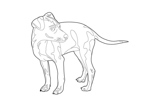 Dibujo de un perro pequeño — Vector de stock