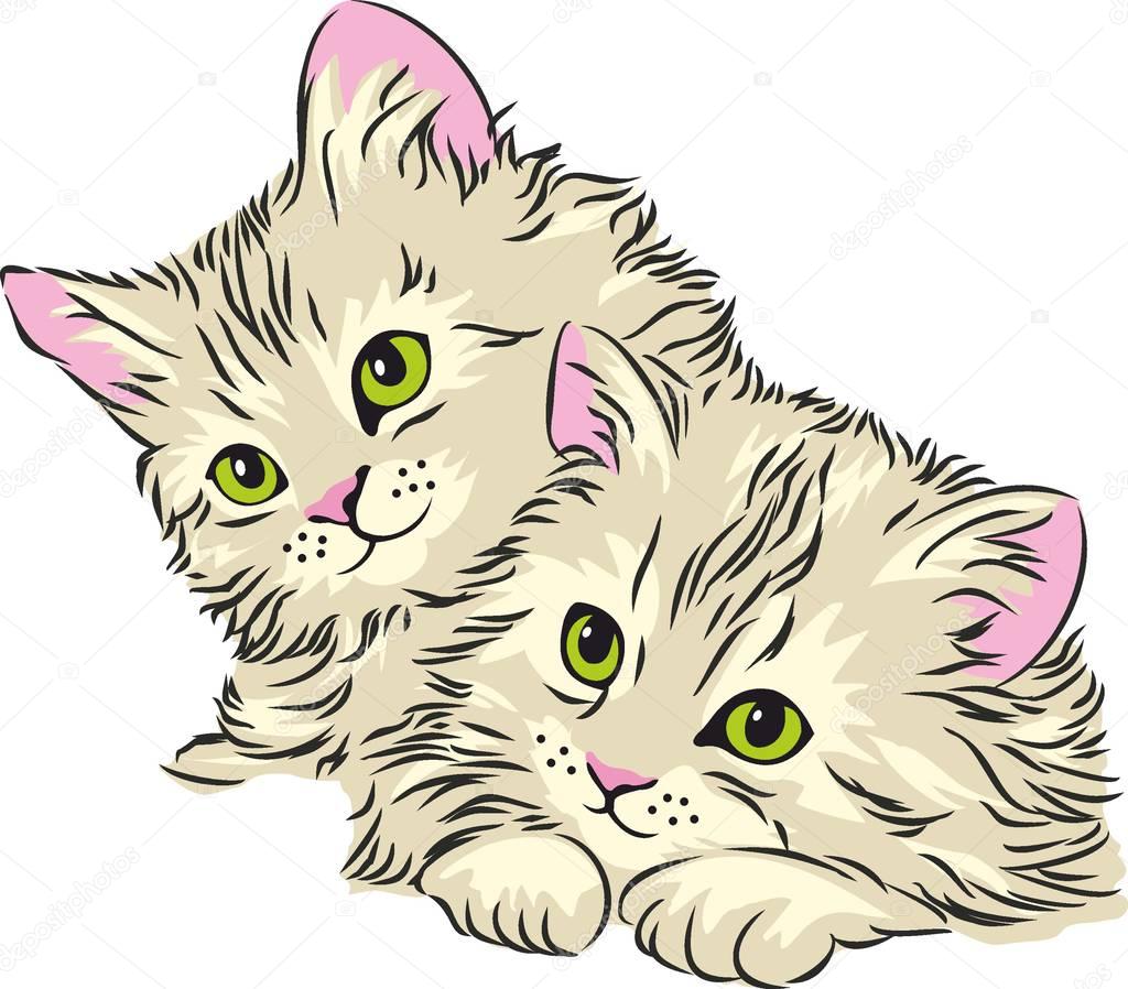 kittens funny cute