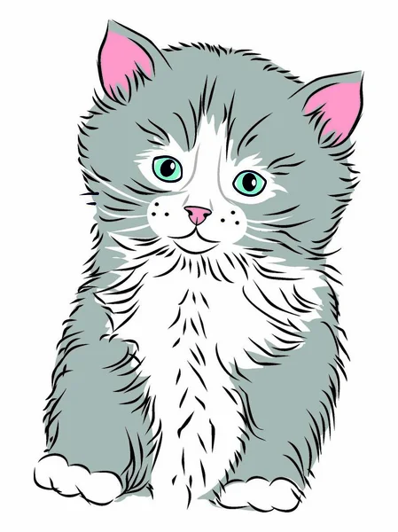 Fluffy kitten   grey vector — Stock Vector