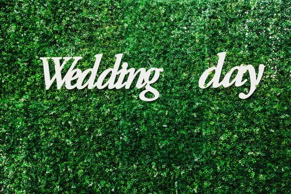 Hvit bryllupsdag på en stor grønn vegg – stockfoto