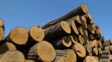 Yel değirmeninin kola büyük günlükleri