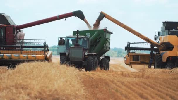 Deux combinaisons dans un champ de blé déchargent le grain dans la trémie du tracteur. Travail saisonnier agricole des agriculteurs .