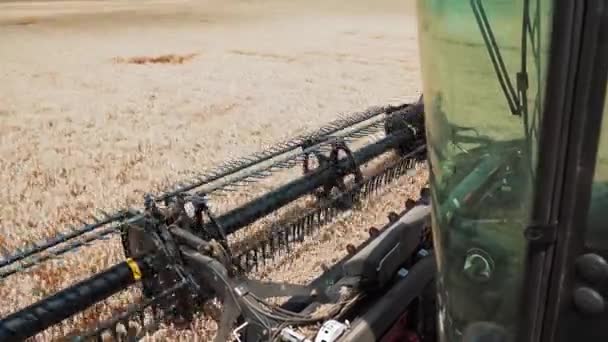 割草机的作用机理是割破小麦的耳朵 从出租车上看 收获农作物 — 图库视频影像