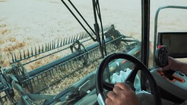 ドライバーの手が結合のステアリングホイールを回します 小麦粉で小麦の収穫者を収穫します タクシーからの眺め — ストック動画