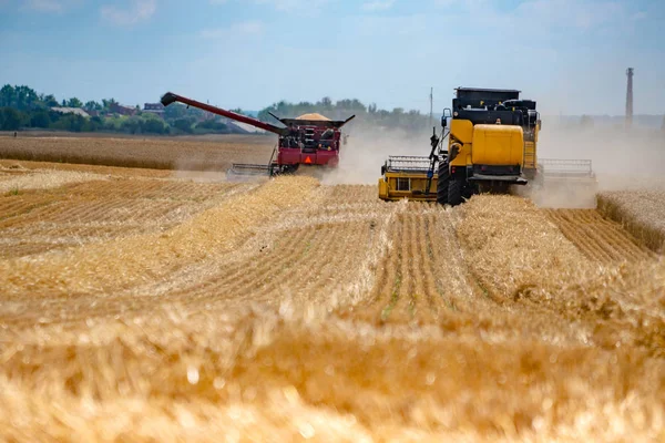 Bønder høster hvete i kombinasjon. Gult felt med halm og to kombinasjoner . – stockfoto