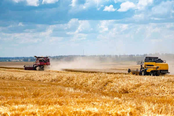 Jordbruksmaskiner høster gul hvete. Felt mot en blå himmel med skyer . – stockfoto