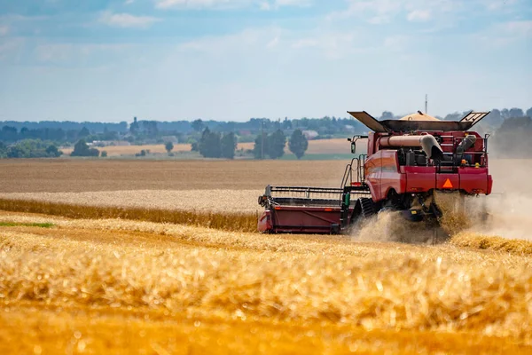 Innhøsteren slår gul hvete. Vi høster på en sommersolskinnsdag. Kombinert baksikt . – stockfoto