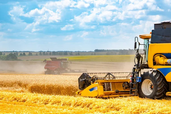 Yhdistä harvesteri korjuu kypsä kultainen vehnä kentällä. Maatalousalan julkisuuskuva. — kuvapankkivalokuva