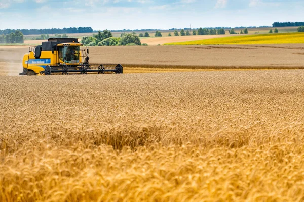 Keltainen yhdistää harvesteri toiminnassa vehnäpellolla . — kuvapankkivalokuva