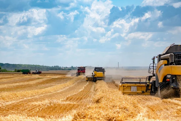 Farm equipment in the field harvests. Combines and wheat against the blue sky. Stock Picture