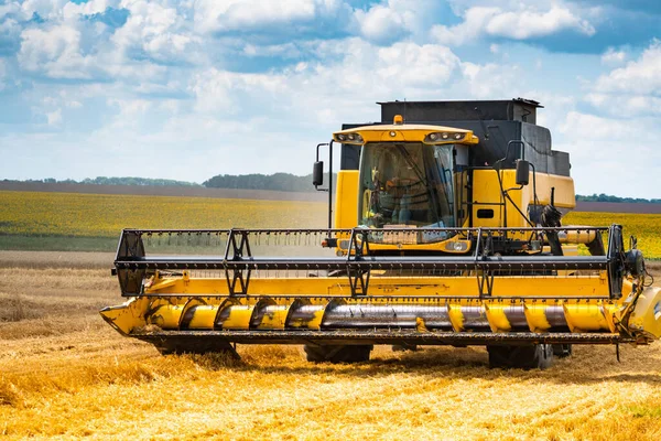 A modern combine harvester with a large mower in a wheat field. Agricultural seasonal work. Stock Photo